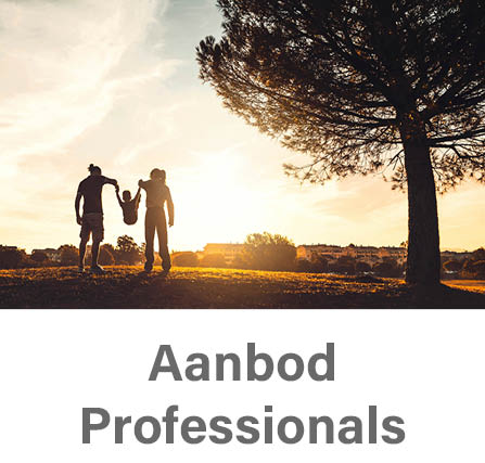 Aanbod professionals complexe scheiding