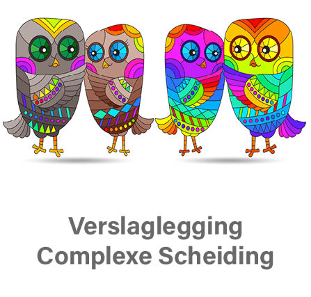 Verslaglegging complexe Scheiding training